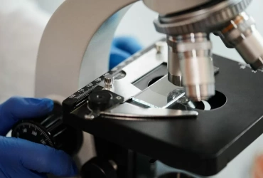 Which Peptide Regulation Gaps Exist Globally?